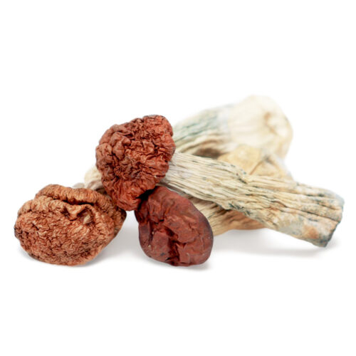Where can I Order Blue Meanie Magic Mushrooms Online Canada.