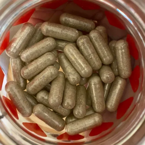 Where can I Buy Golden Teacher Mushrooms Capsules Online Canada?