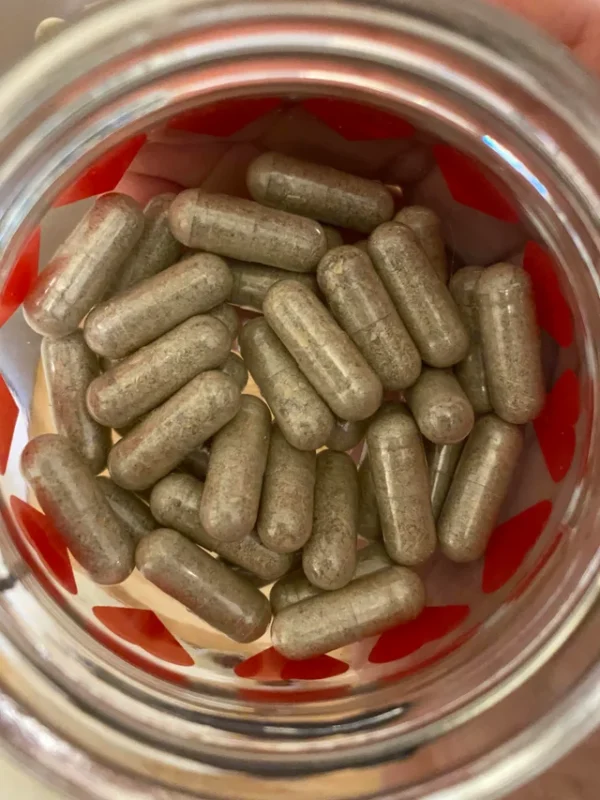 Where can I Buy Golden Teacher Mushrooms Capsules Online Canada?