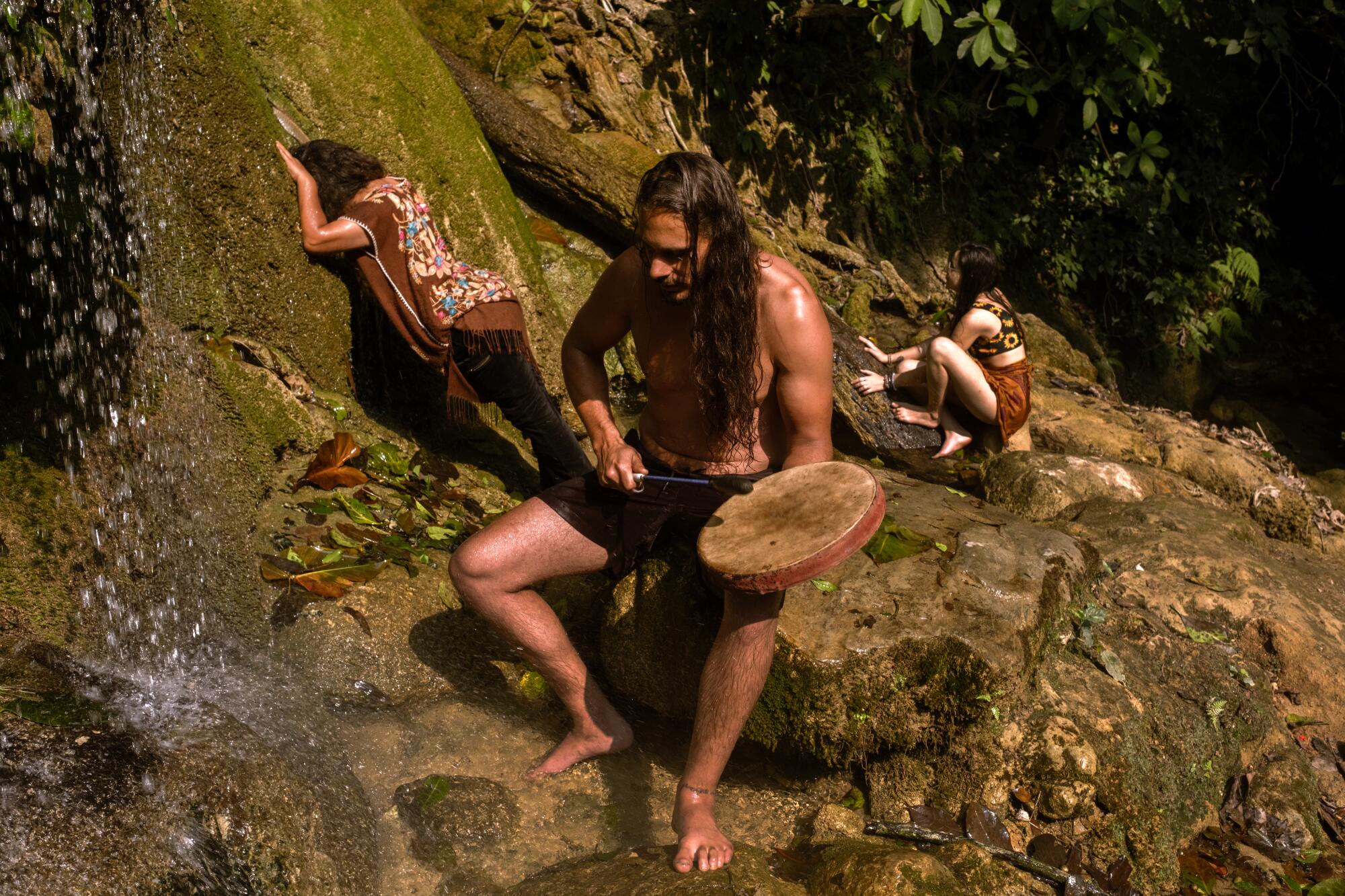 About Where to buy psychedelic mushrooms online Canada